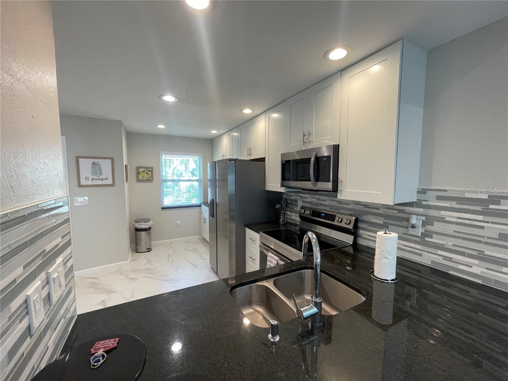 1821 Orange Boulevard Way Palm Harbor FL 34683 U8214210 image7