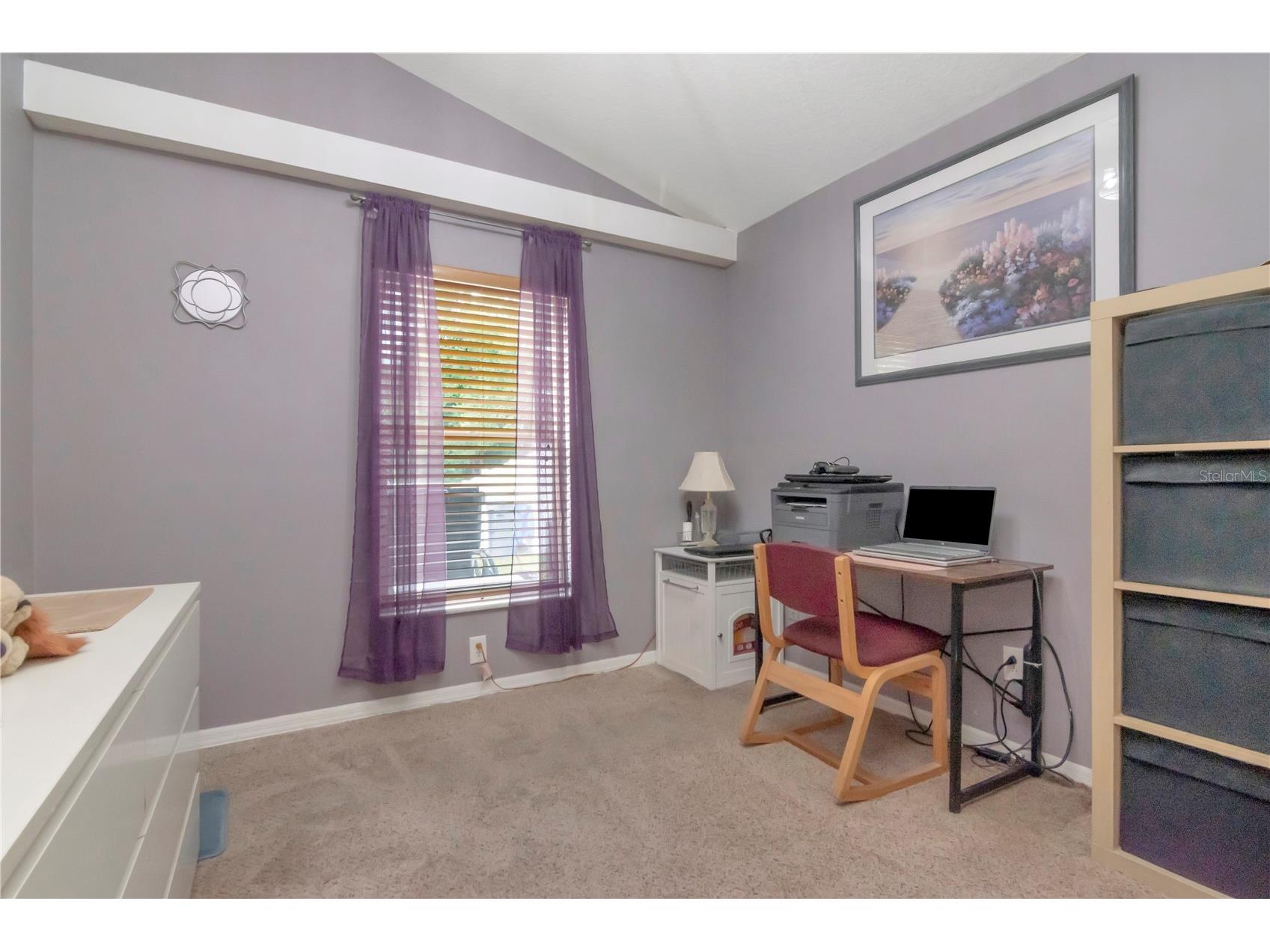 18210 Sweet Jasmine Drive Tampa FL 33647 TB8507448 image24