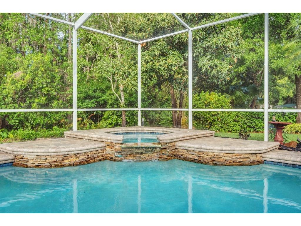 18212 Keystone Grove Boulevard Odessa FL 33556 TB8492169 image48