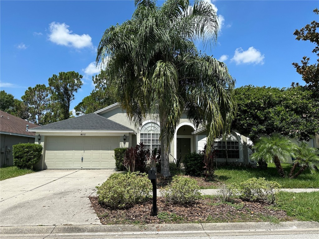 18212 Sweet Jasmine Drive Tampa FL 33647 T3456807 image1