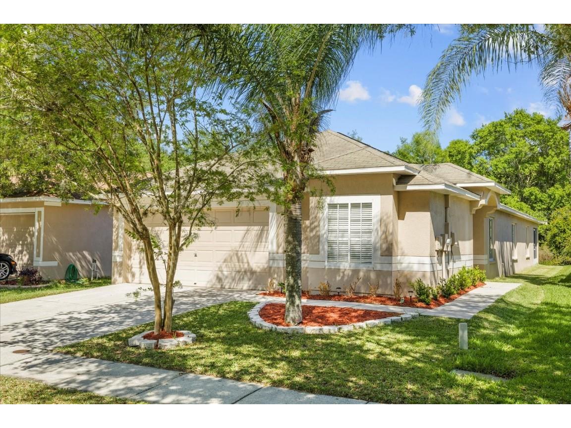 18213 Portside Street Tampa FL 33647 T3518017 image1