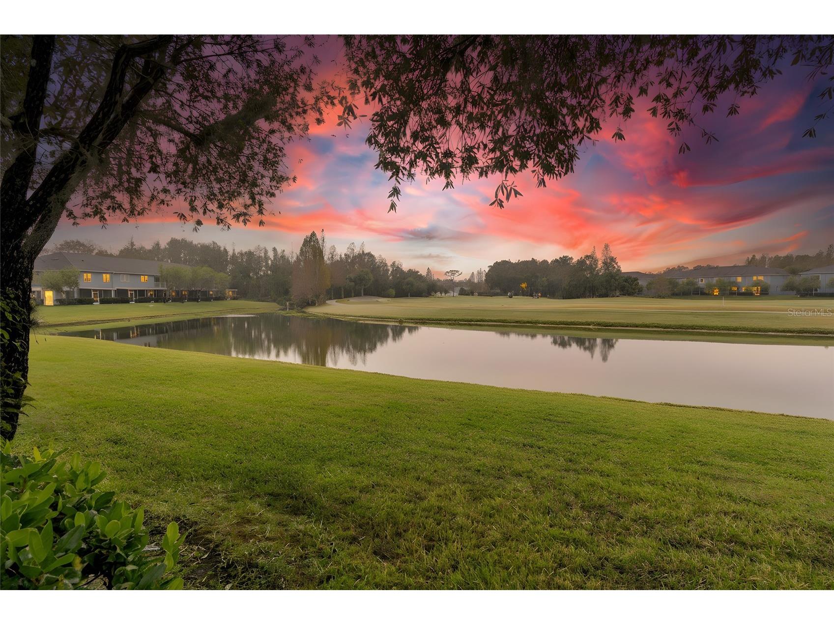 18214 Paradise Point Drive Tampa FL 33647 TB8461805 image1