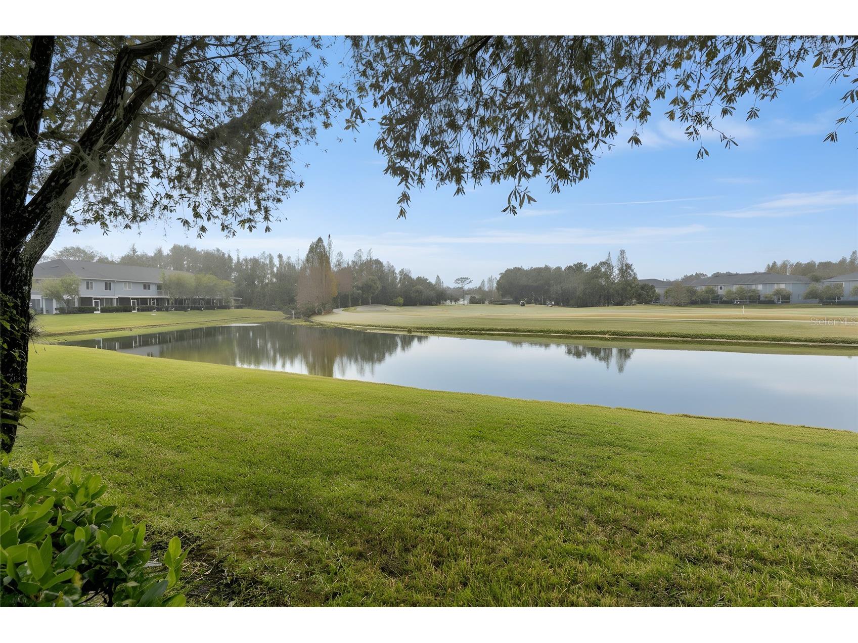 18214 Paradise Point Drive Tampa FL 33647 TB8461805 image30