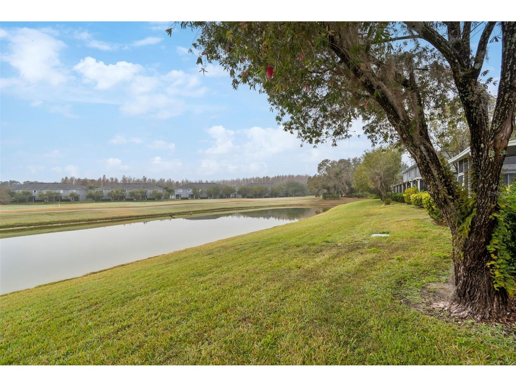 18214 Paradise Point Drive Tampa FL 33647 TB8461805 image31