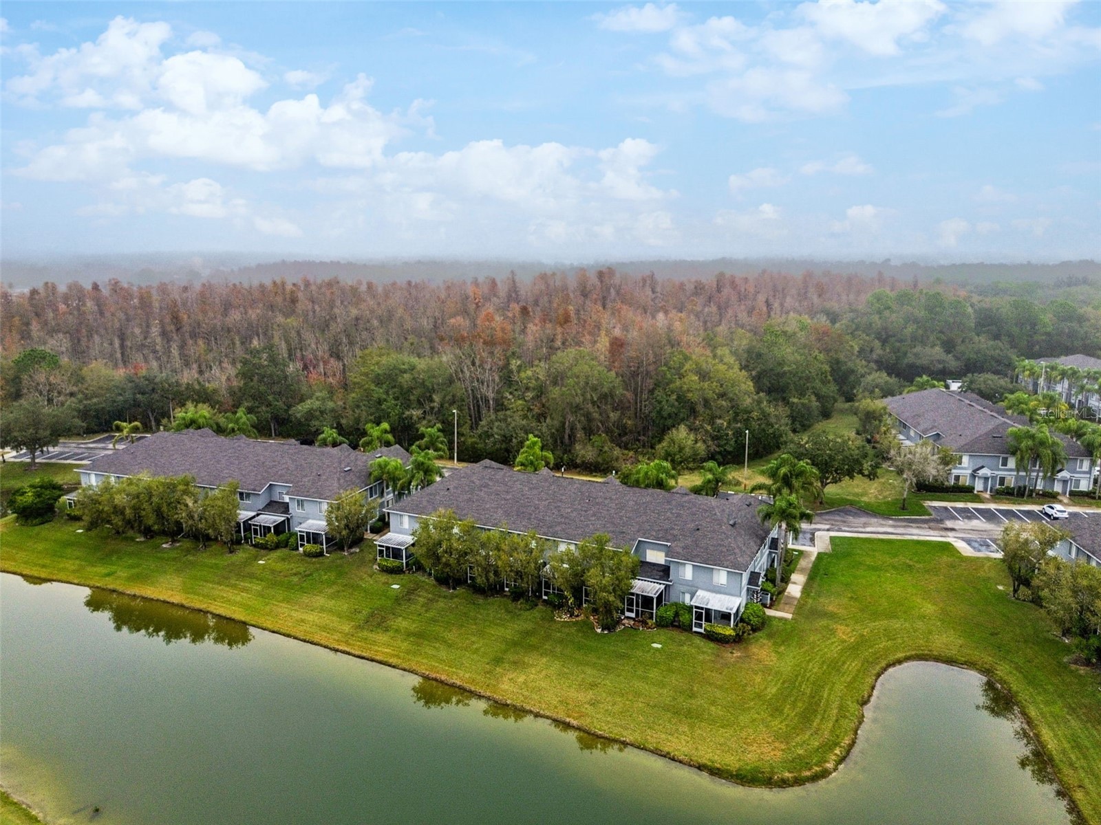 18214 Paradise Point Drive Tampa FL 33647 TB8461805 image34