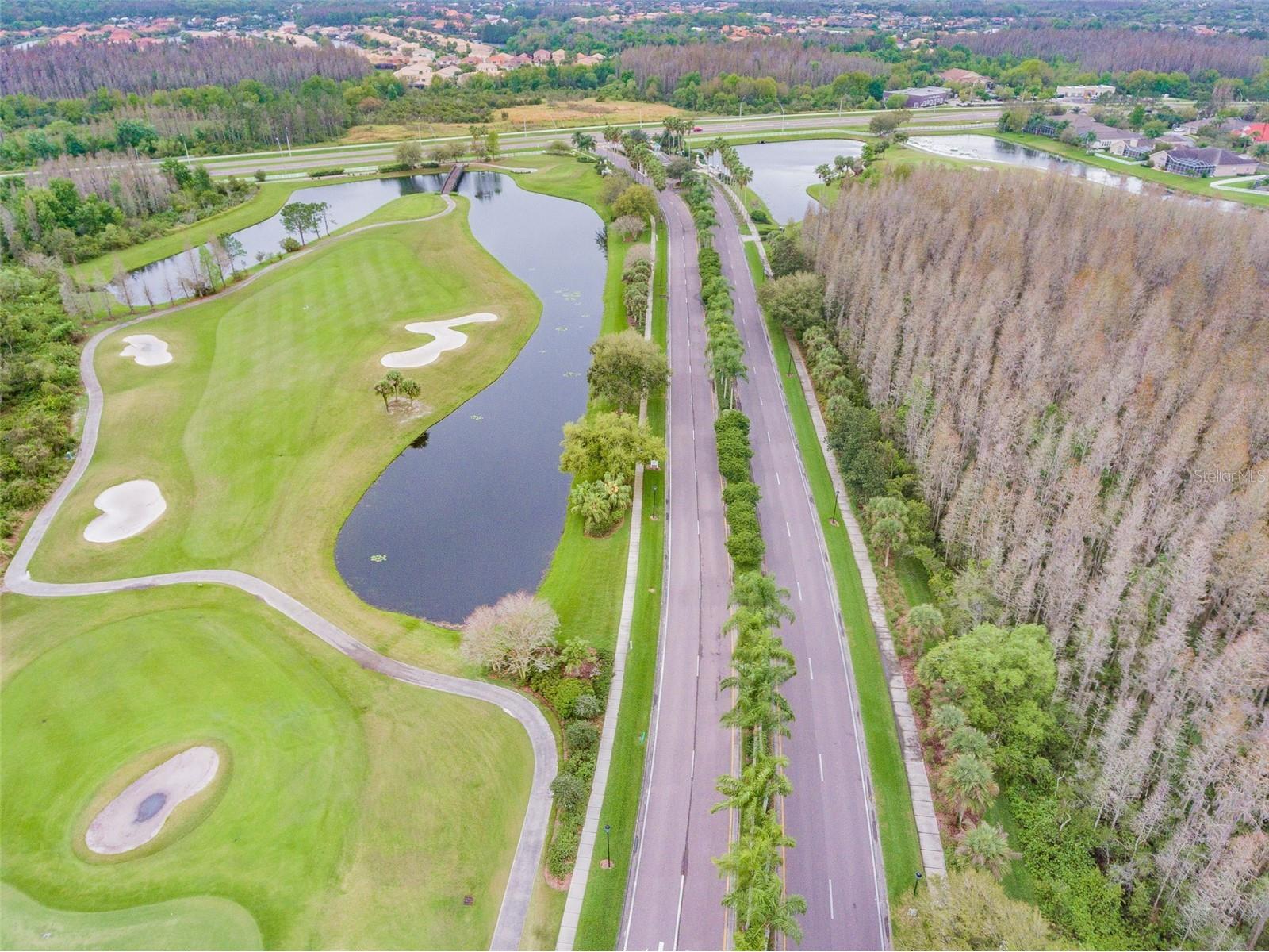 18214 Paradise Point Drive Tampa FL 33647 TB8461805 image37