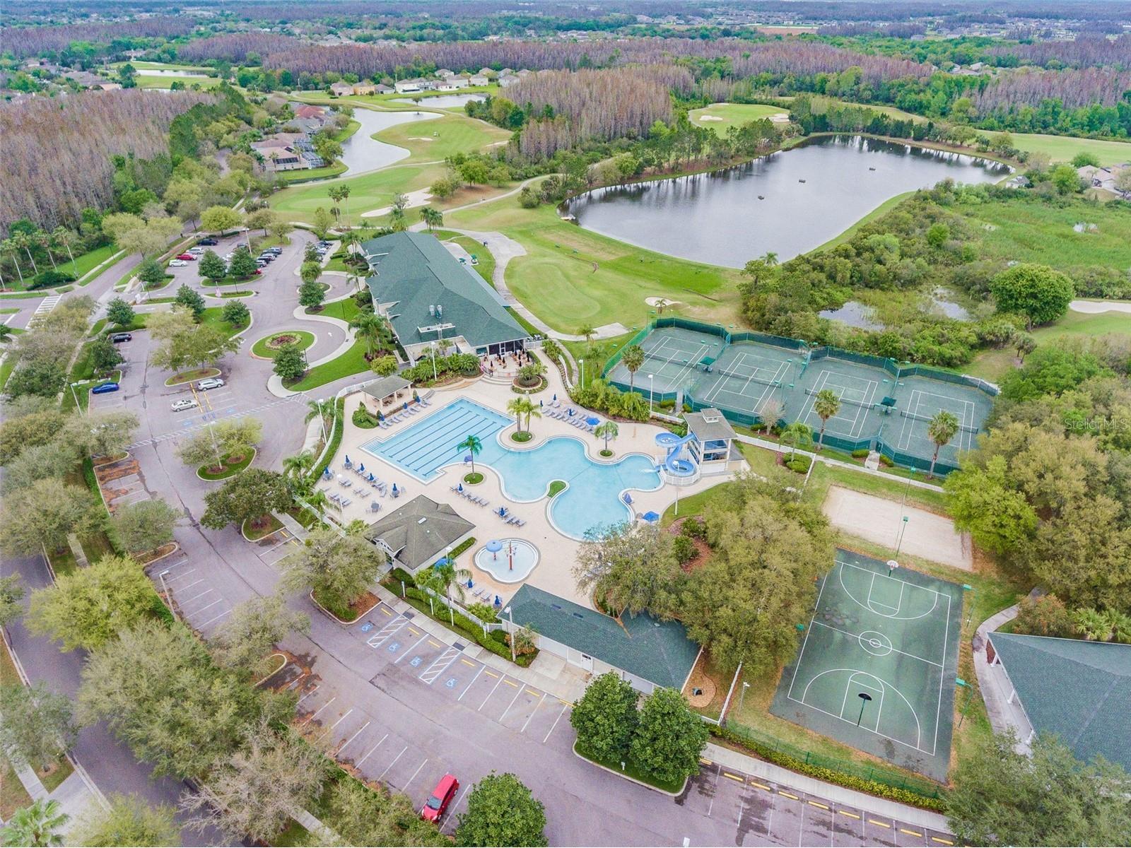 18214 Paradise Point Drive Tampa FL 33647 TB8461805 image38