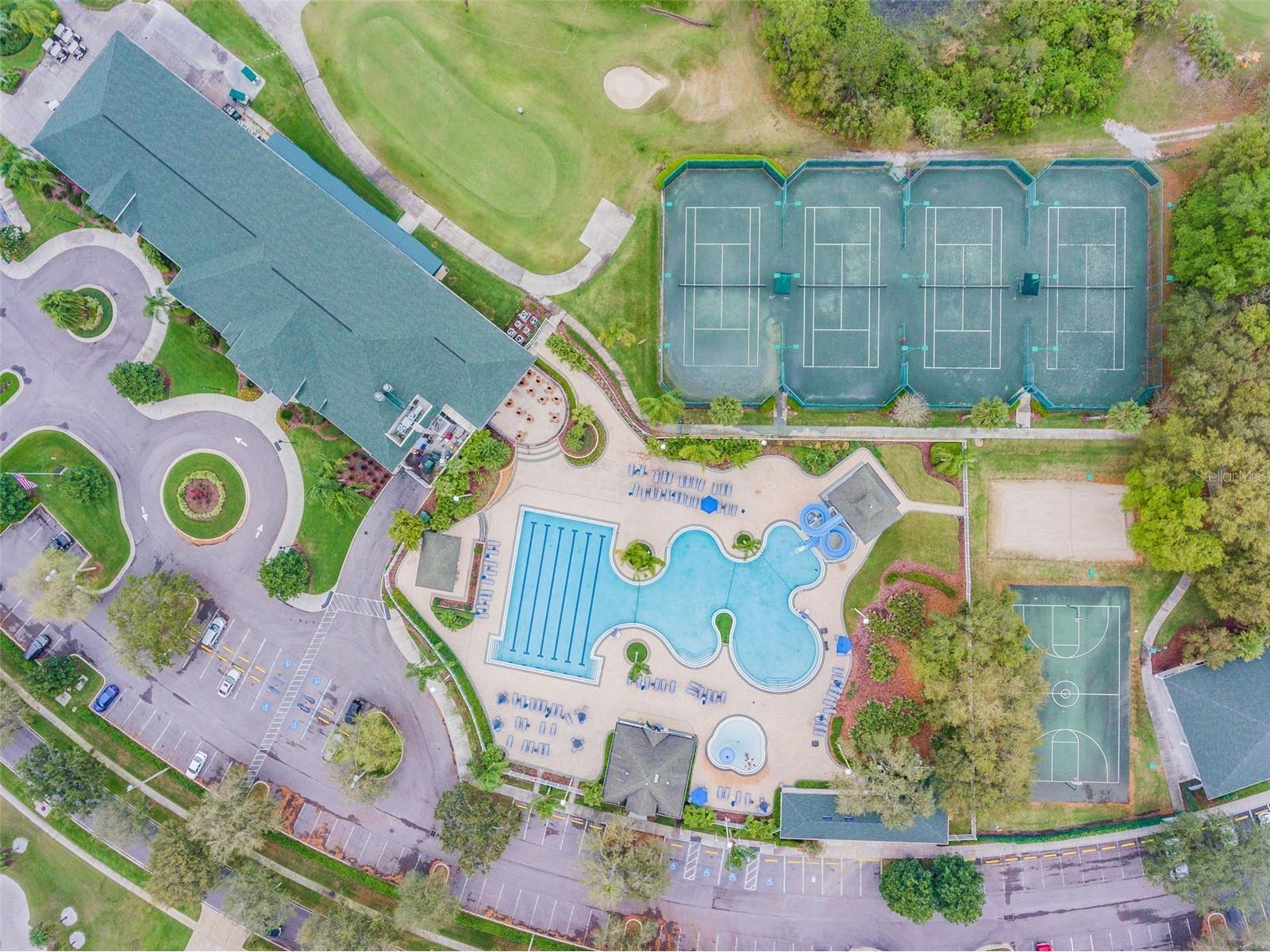 18214 Paradise Point Drive Tampa FL 33647 TB8461805 image39