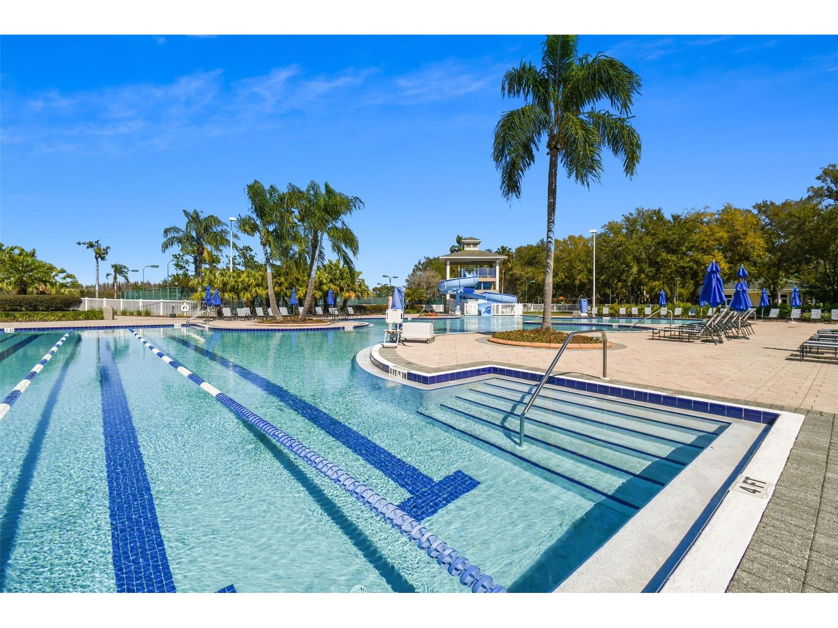 18214 Paradise Point Drive Tampa FL 33647 TB8461805 image41