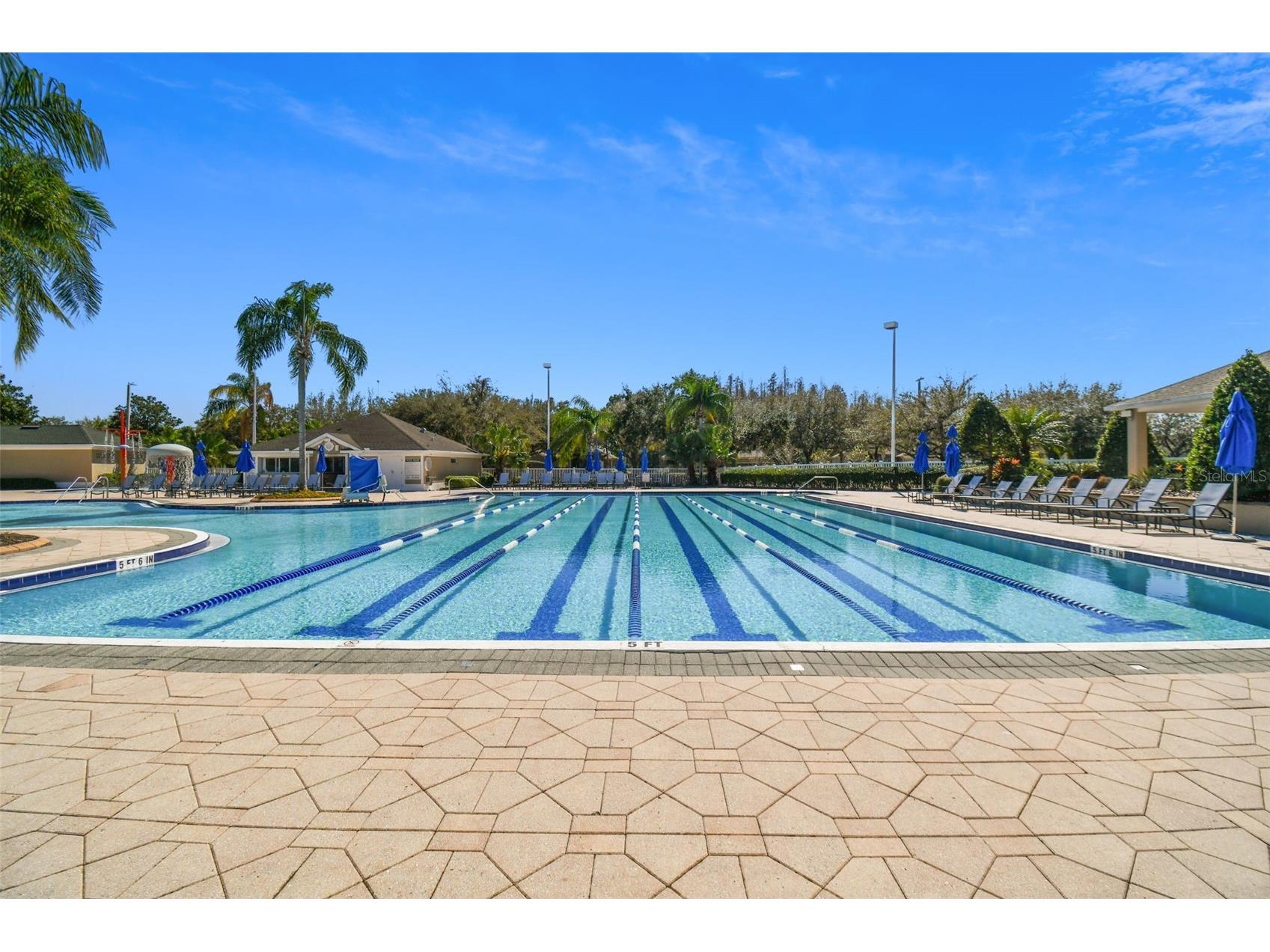 18214 Paradise Point Drive Tampa FL 33647 TB8461805 image42