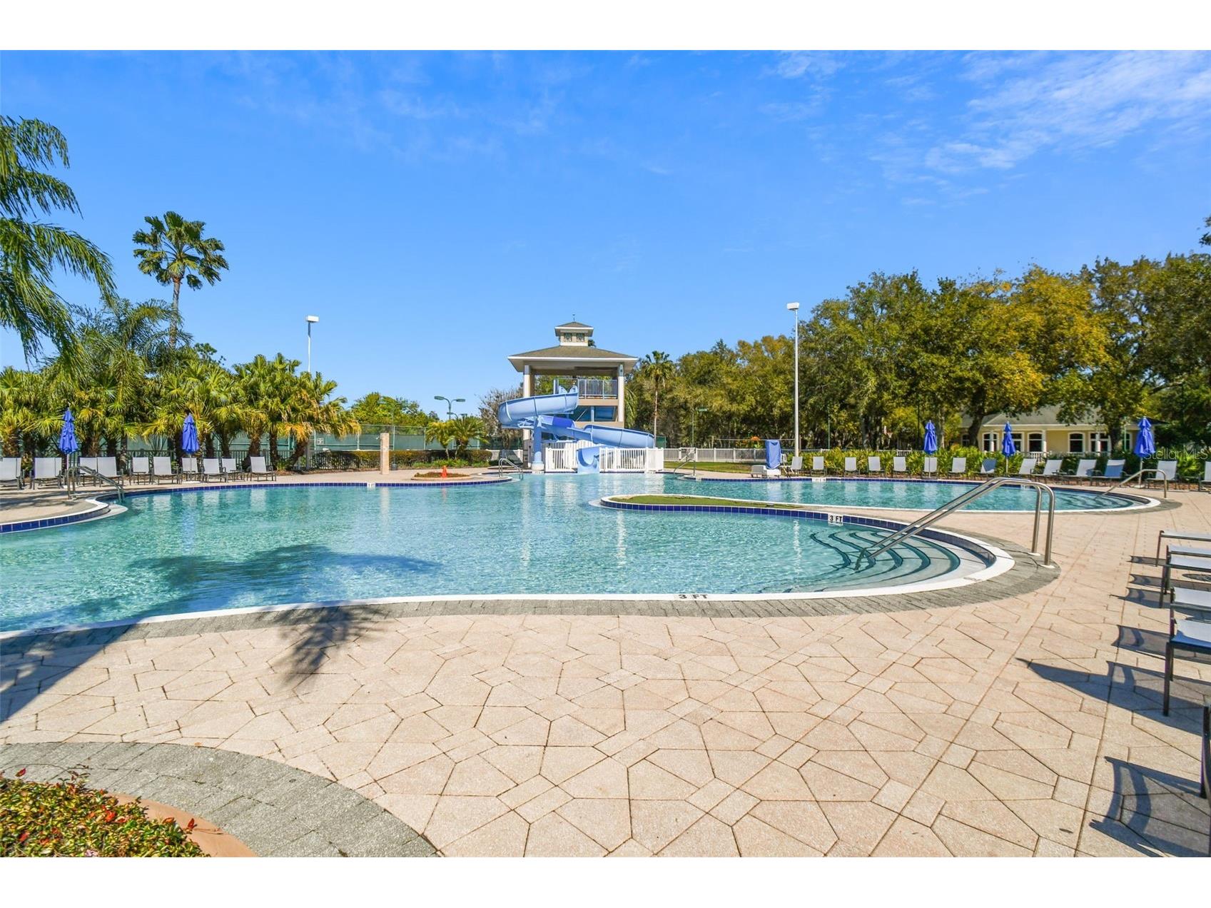 18214 Paradise Point Drive Tampa FL 33647 TB8461805 image43