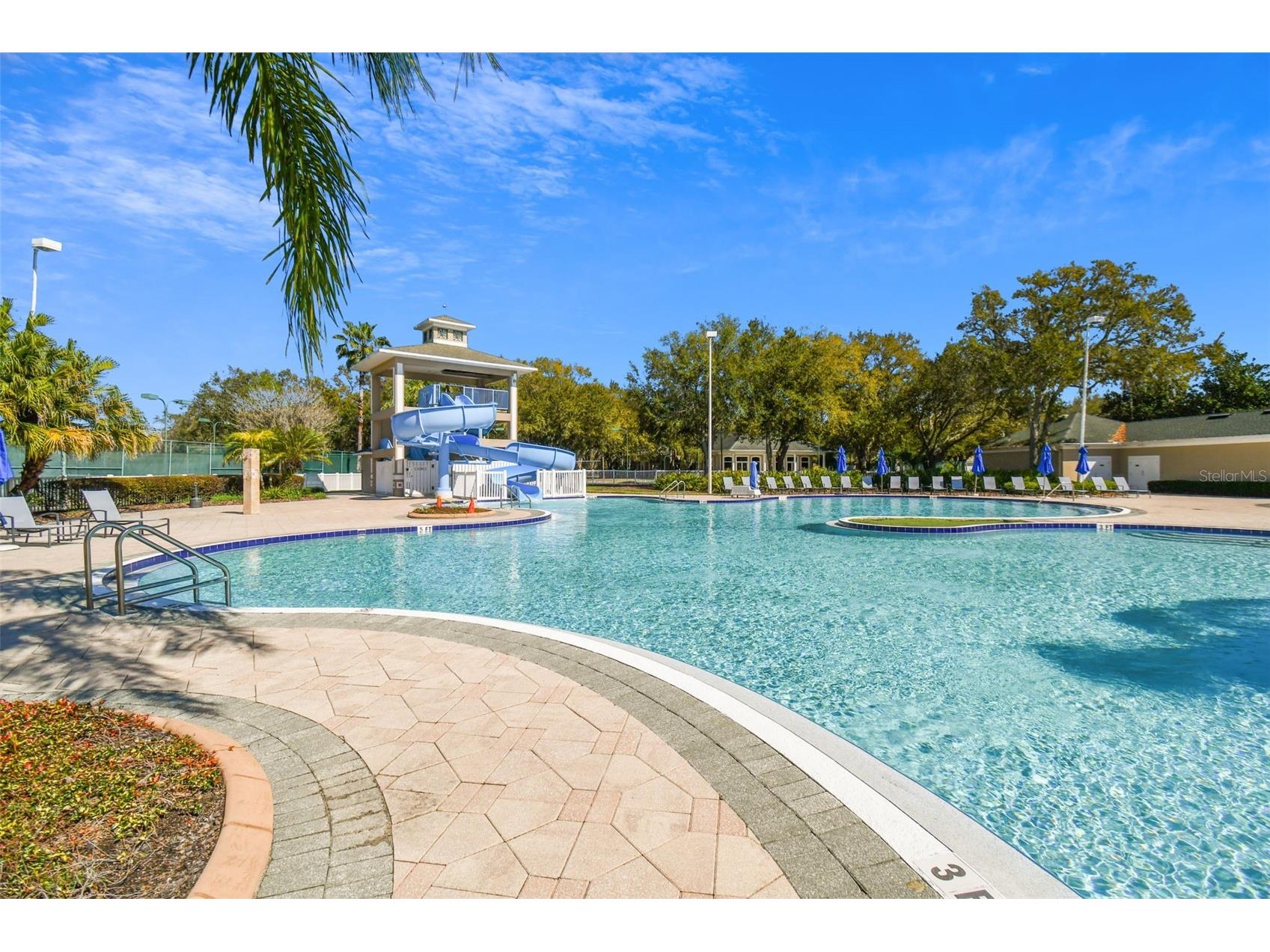 18214 Paradise Point Drive Tampa FL 33647 TB8461805 image45