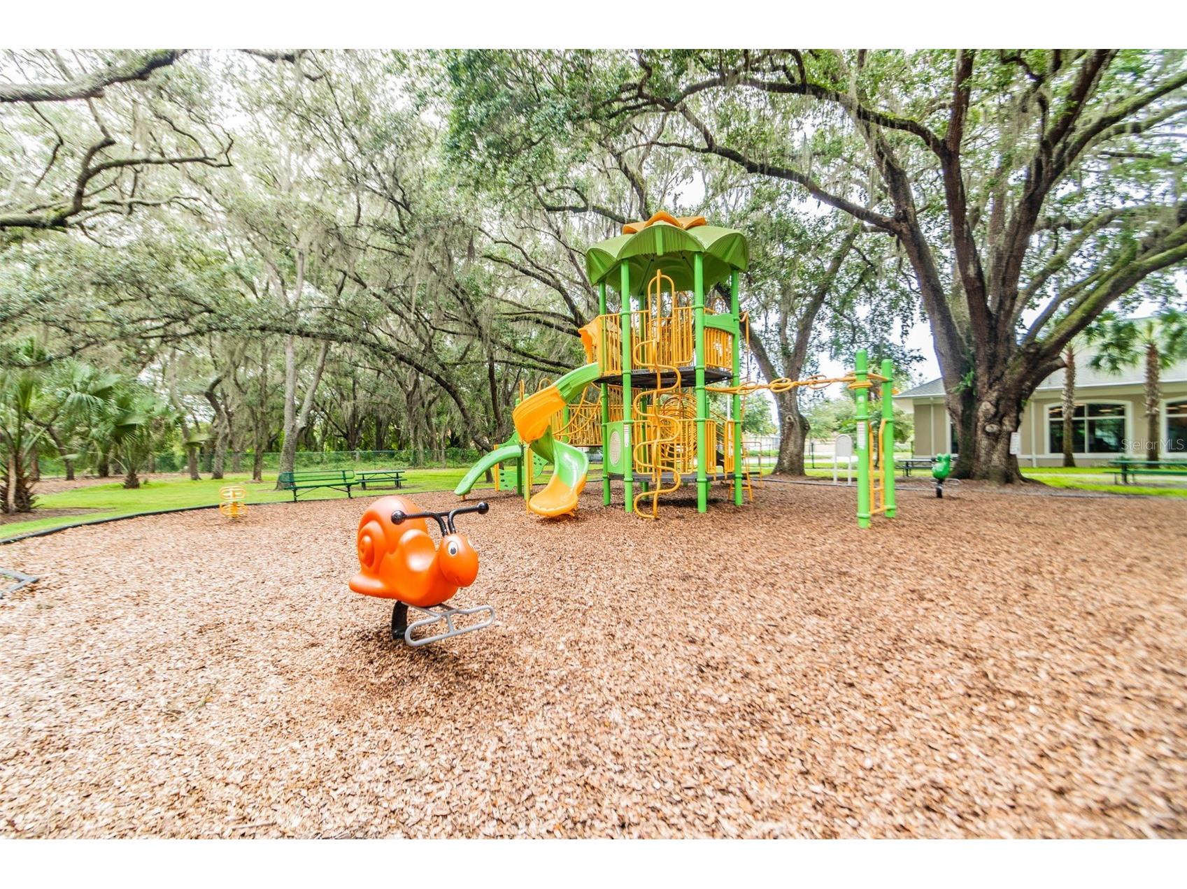 18214 Paradise Point Drive Tampa FL 33647 TB8461805 image55