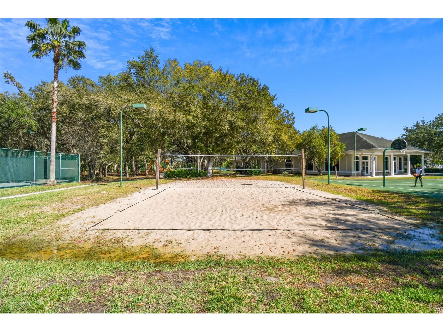 18214 Paradise Point Drive Tampa FL 33647 TB8461805 image56