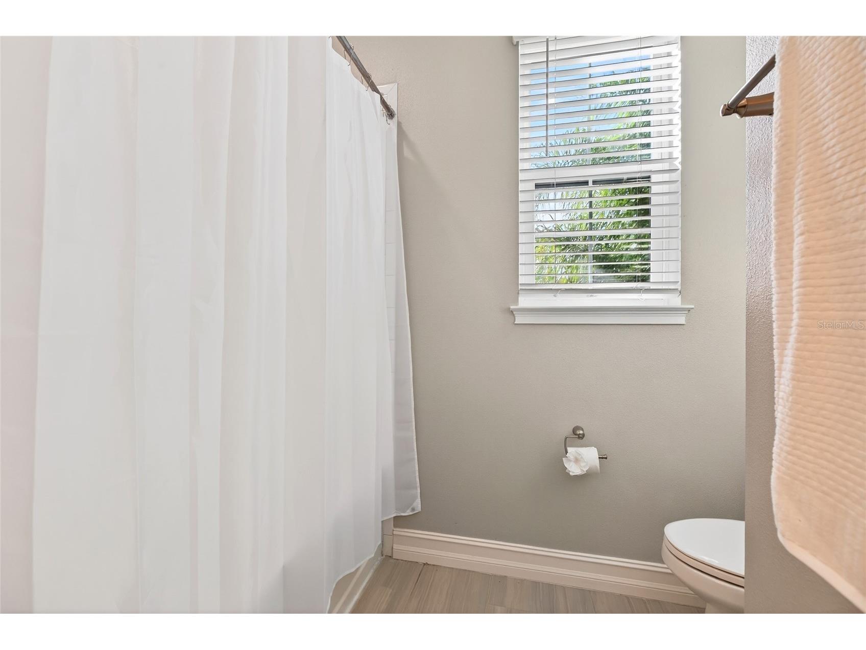 18215 Leafmore Street Lutz FL 33548 TB8465323 image54