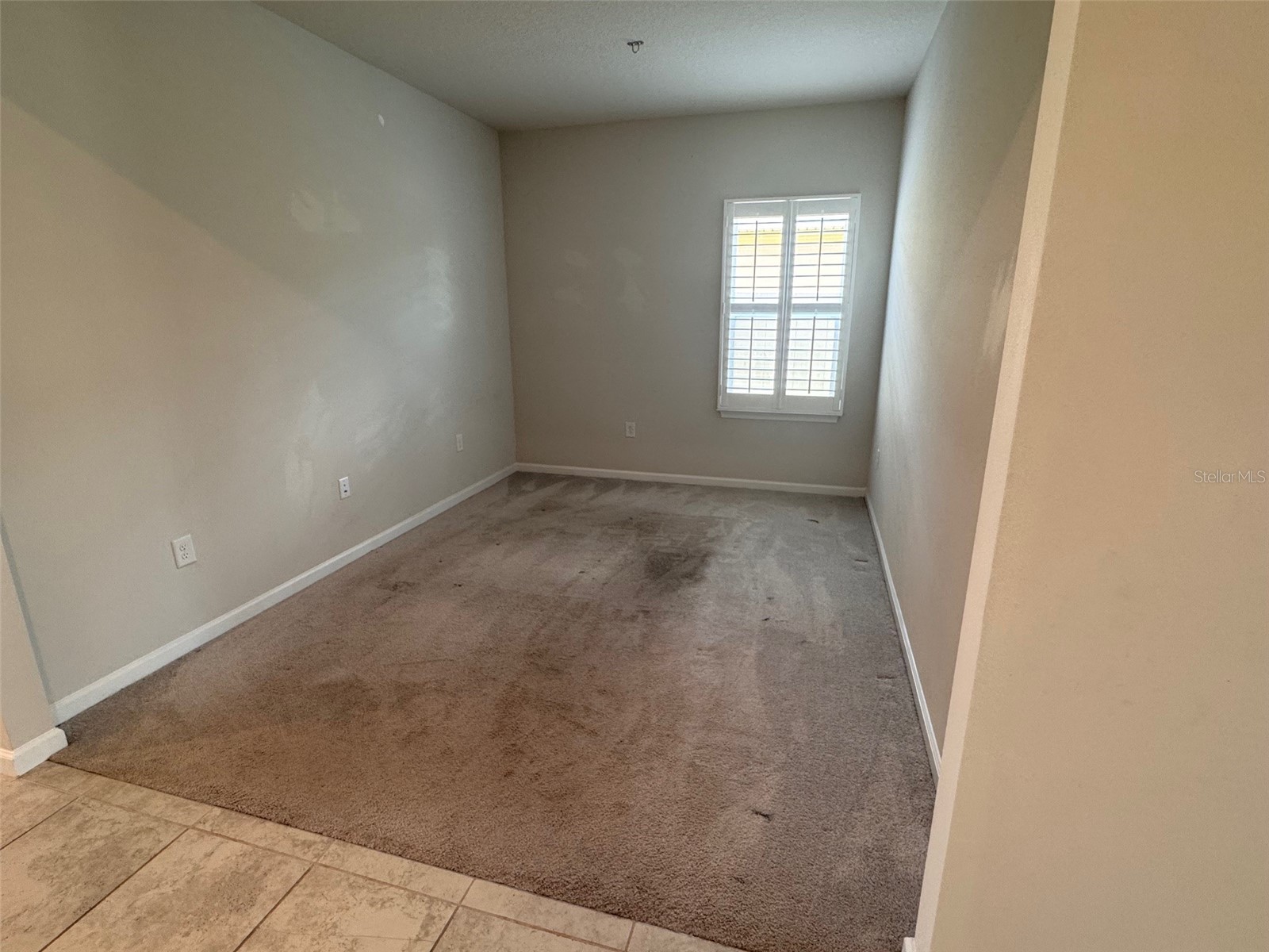 18217 Falling Pine Needle Lane Land O Lakes FL 34638 TB8514129 image13