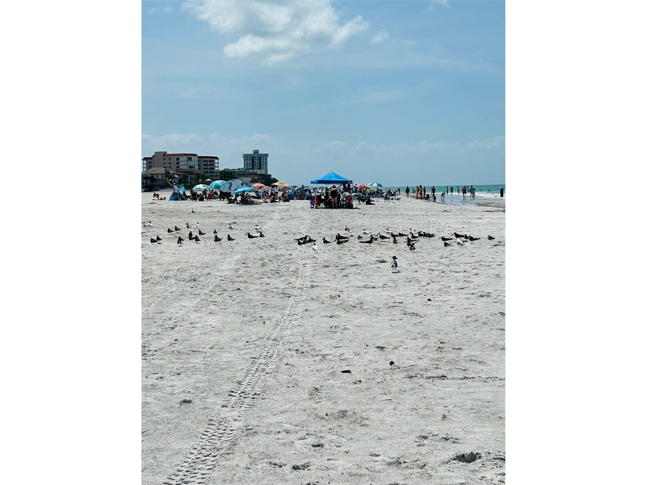18218 Sunset Boulevard #A Saint Petersburg FL 33708 - GULF OF MEXICO TB8412423 image17