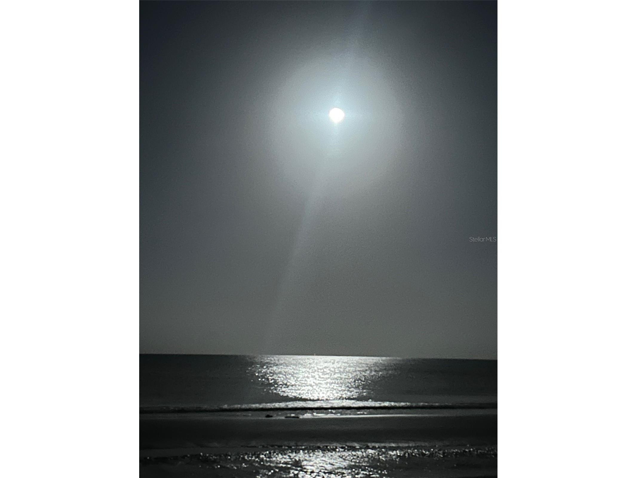 18218 Sunset Boulevard #A Saint Petersburg FL 33708 - GULF OF MEXICO TB8412423 image3