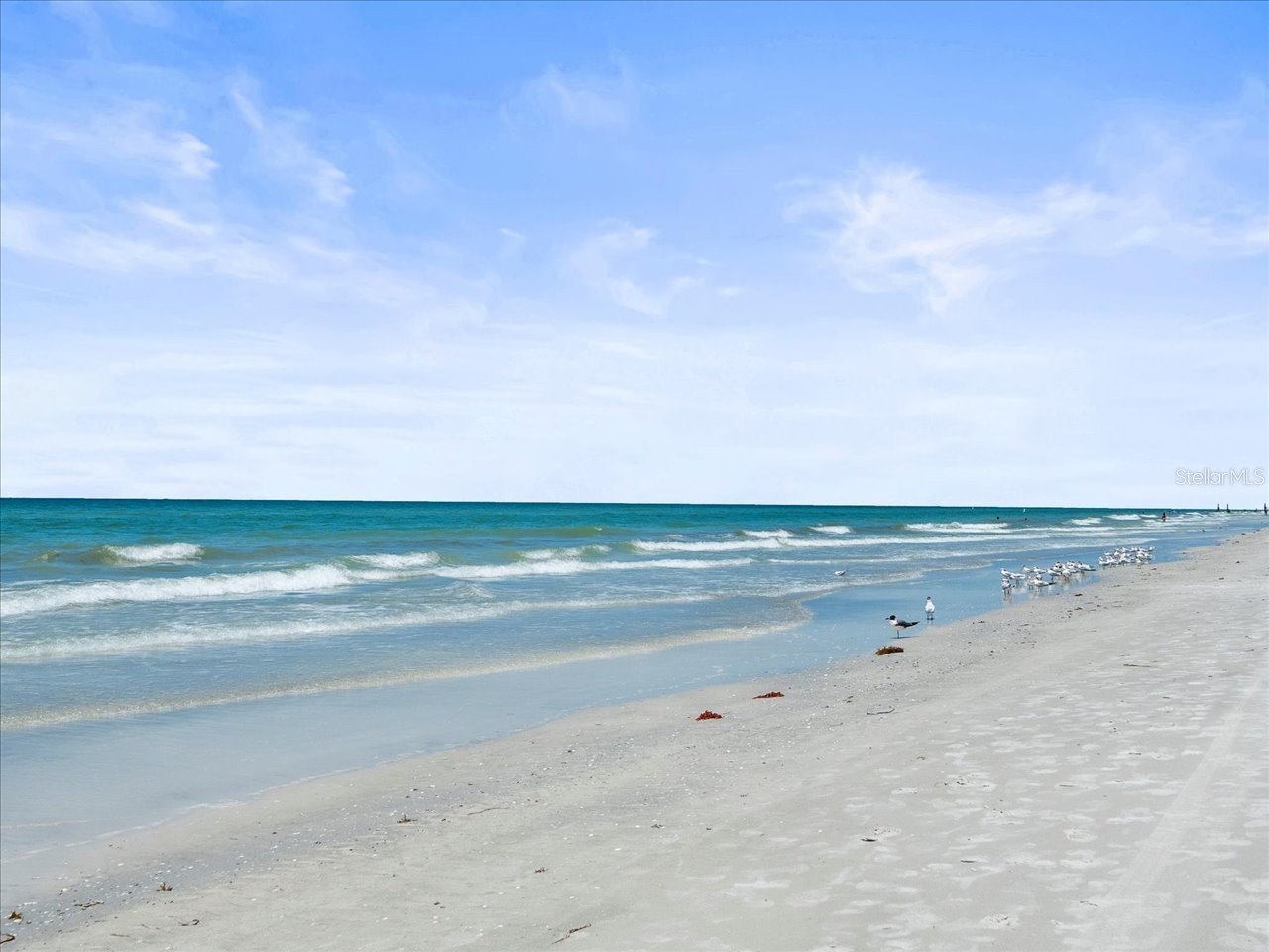 18218 Sunset Boulevard #A Saint Petersburg FL 33708 - GULF OF MEXICO TB8412423 image48