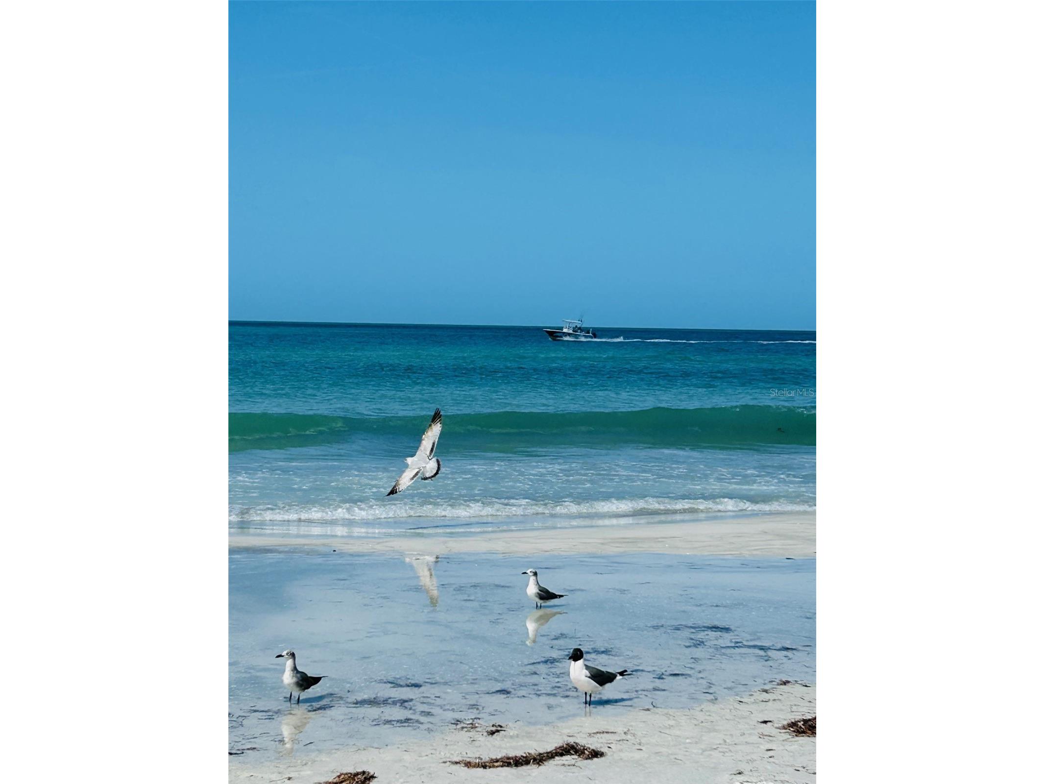 18218 Sunset Boulevard #B Saint Petersburg FL 33708 - GULF OF MEXICO TB8414300 image5