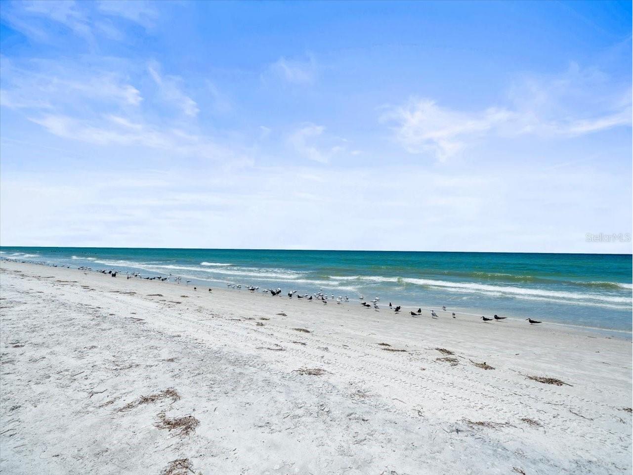 18218 Sunset Boulevard #B Saint Petersburg FL 33708 - GULF OF MEXICO TB8414300 image7