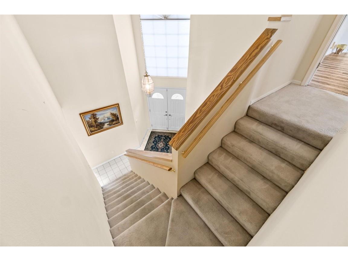 18219 Bittern Avenue Lutz FL 33558 TB8393562 image25