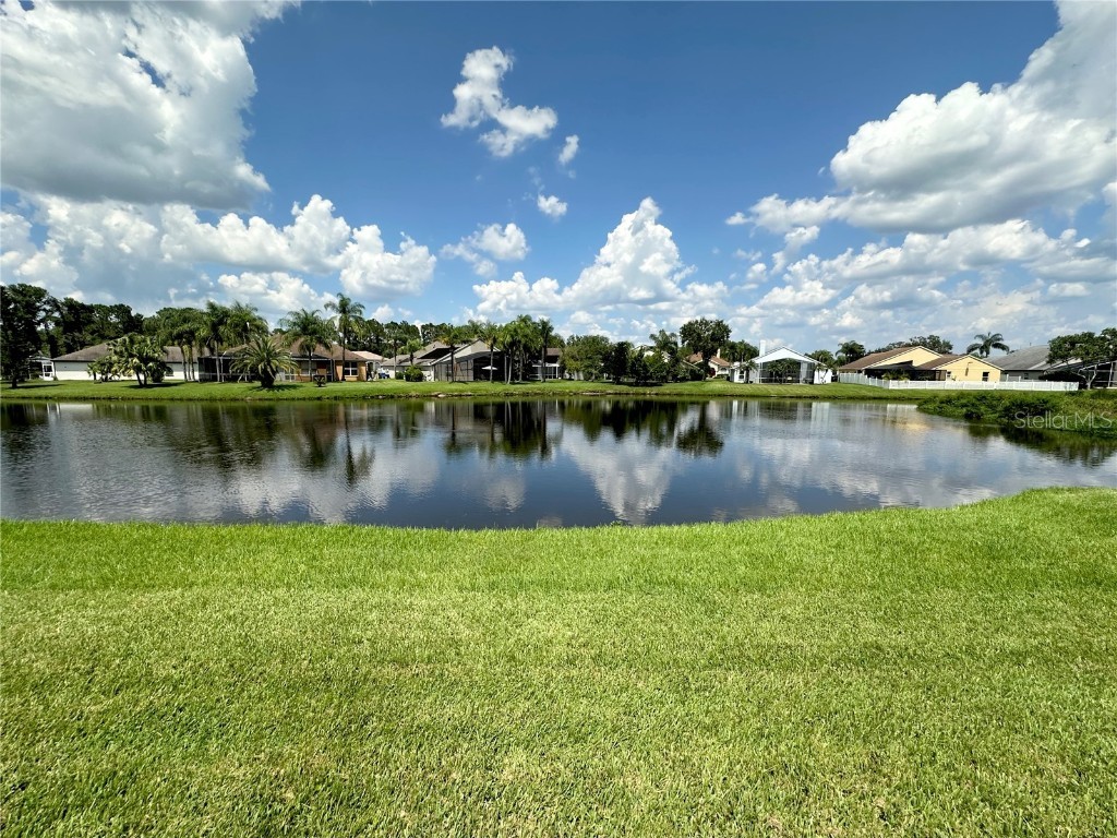 18219 Bittern Avenue Lutz FL 33558 TB8393562 image3