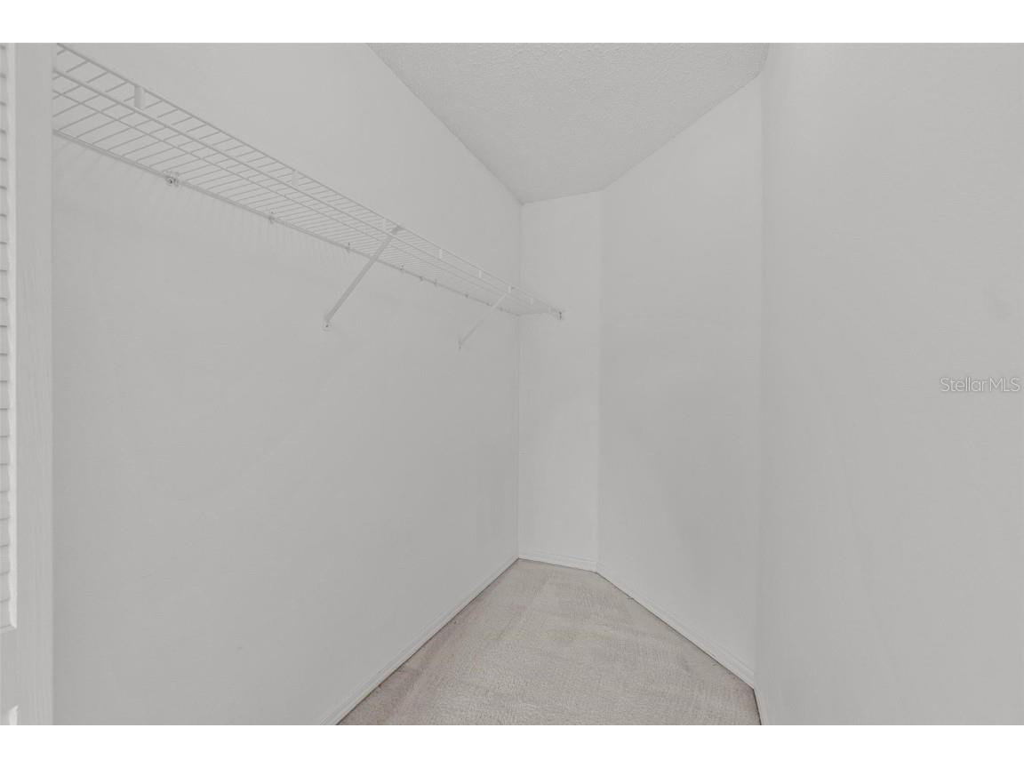 18219 Bittern Avenue Lutz FL 33558 TB8393562 image44