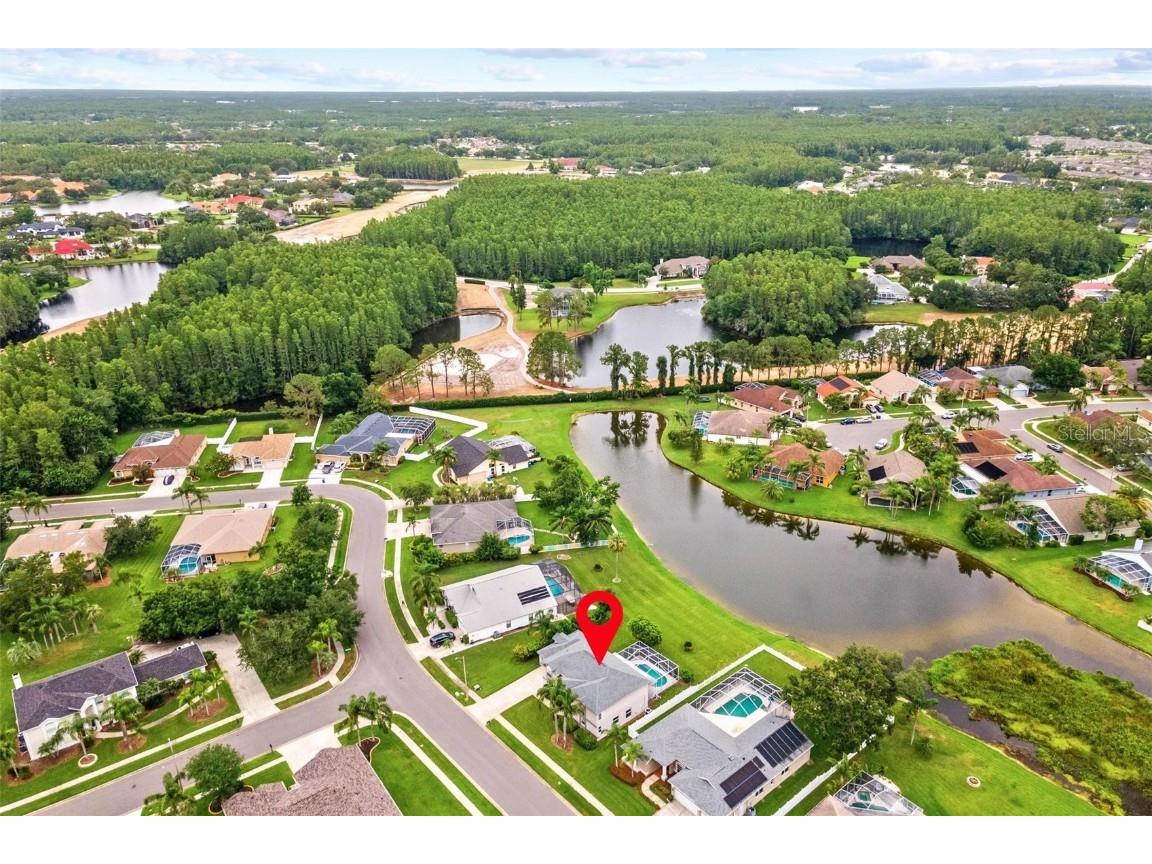 18219 Bittern Avenue Lutz FL 33558 TB8393562 image52