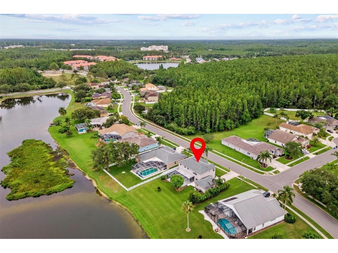 18219 Bittern Avenue Lutz FL 33558 TB8393562 image53