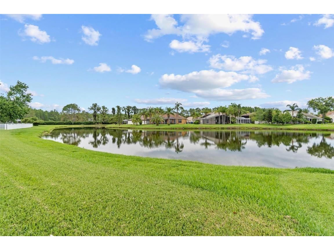 18219 Bittern Avenue Lutz FL 33558 TB8393562 image56