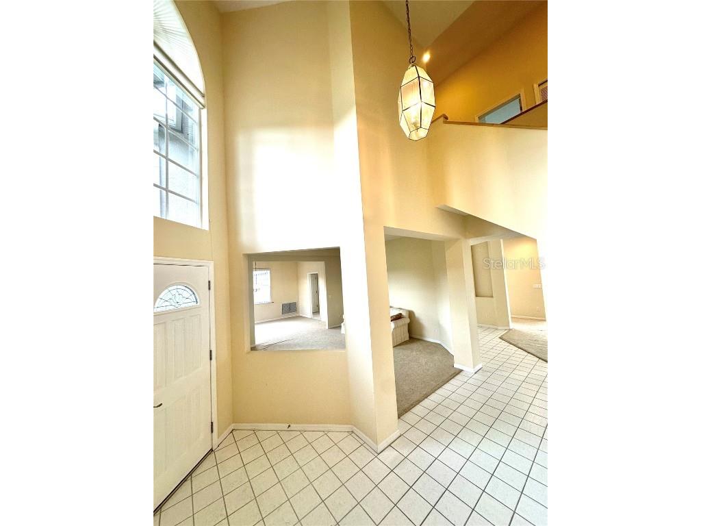 18219 Bittern Avenue Lutz FL 33558 TB8393562 image9