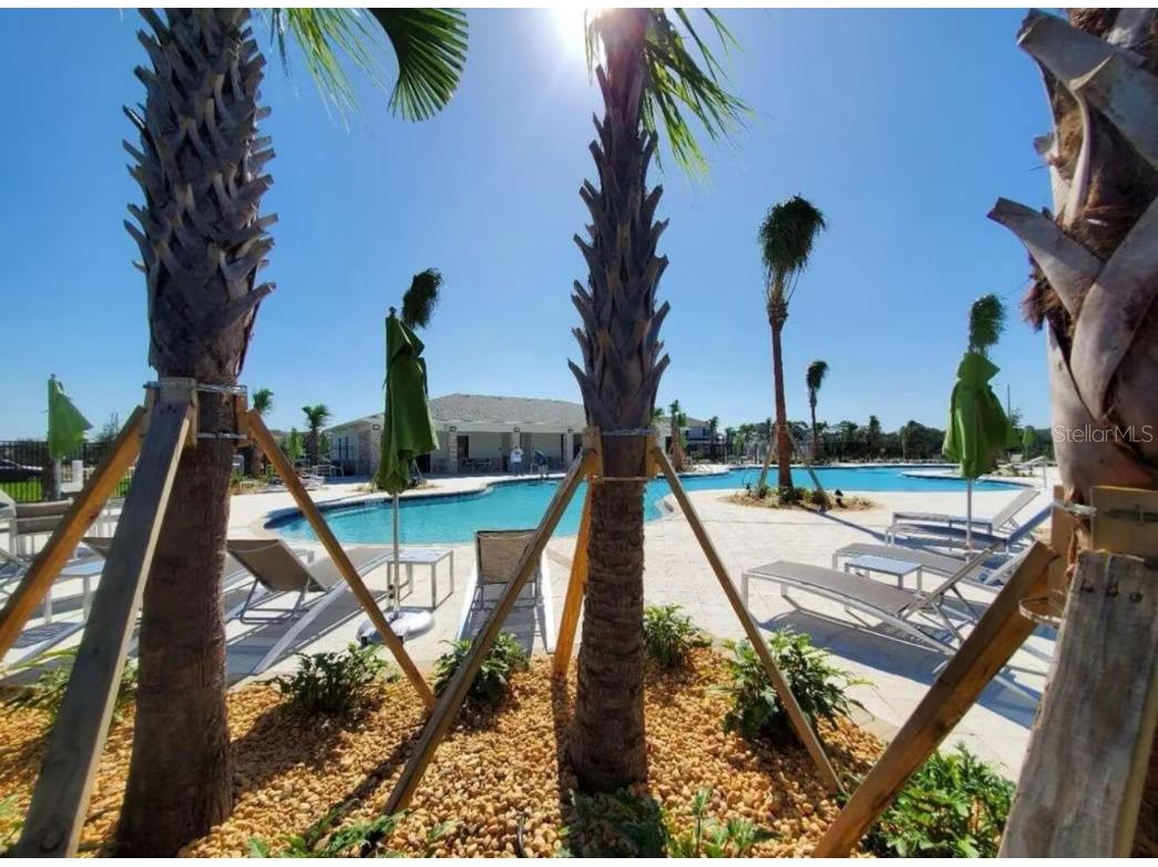 18219 Oliver Twist Way Winter Garden FL 34787 O6365155 image28