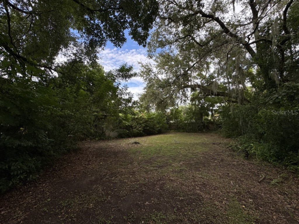 1822 Greenwich Avenue Winter Park FL 32789 A4669605 image4