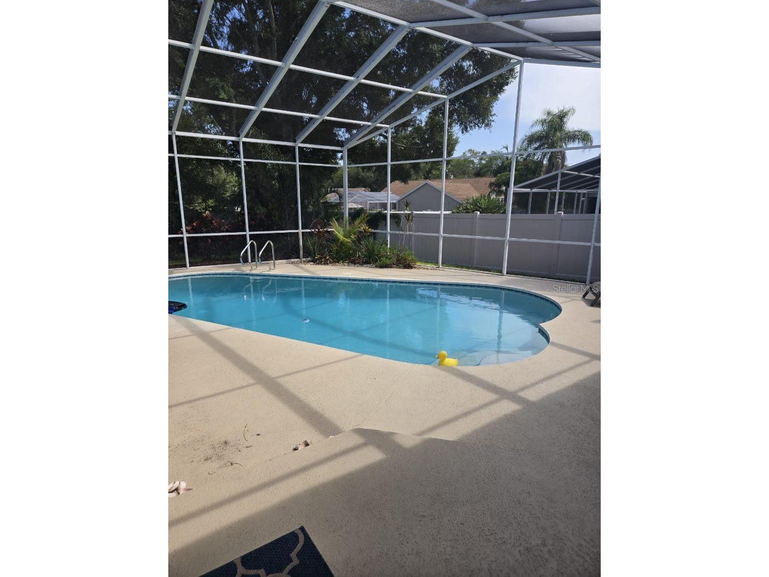 1822 Pipers Meadow Drive Palm Harbor FL 34683 TB8528681 image4