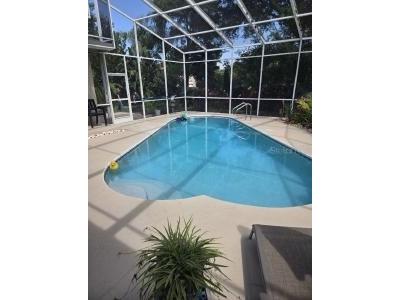 1822 Pipers Meadow Drive Palm Harbor FL 34683 TB8528681 image5