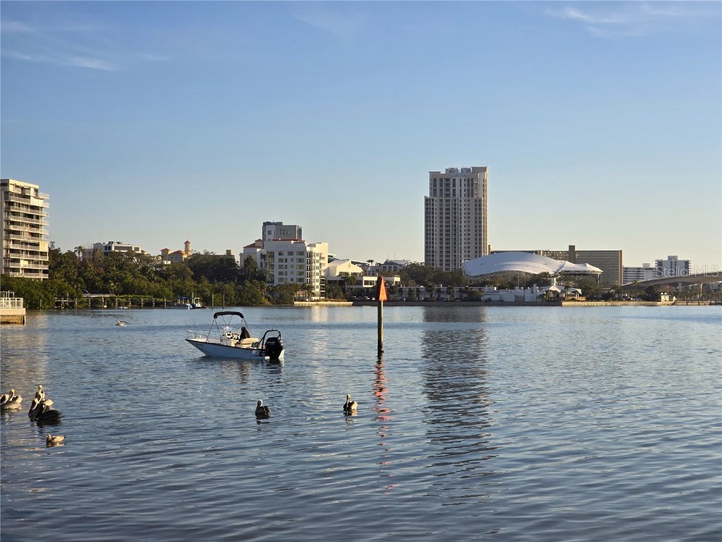 1822 Sylvan Drive Clearwater FL 33755 TB8447317 image71