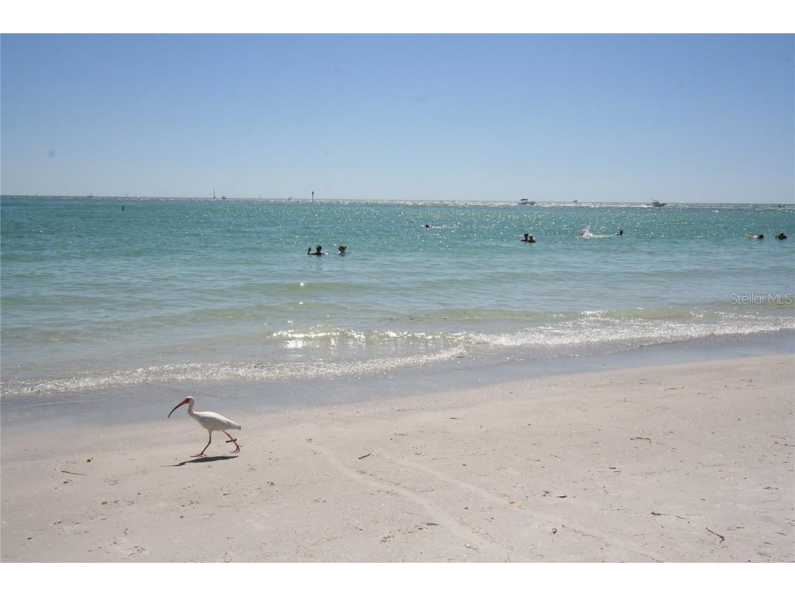 1822 Sylvan Drive Clearwater FL 33755 TB8447317 image74