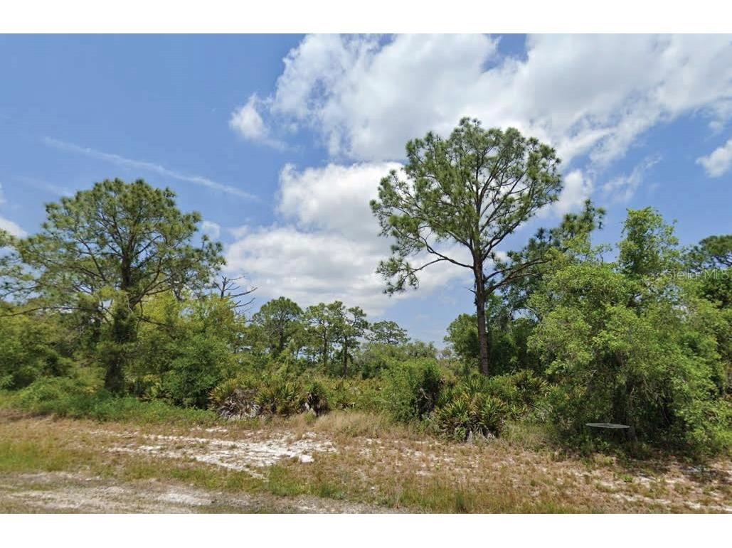 1822 Washington Boulevard NW Lake Placid FL 33852 O6321188 image1