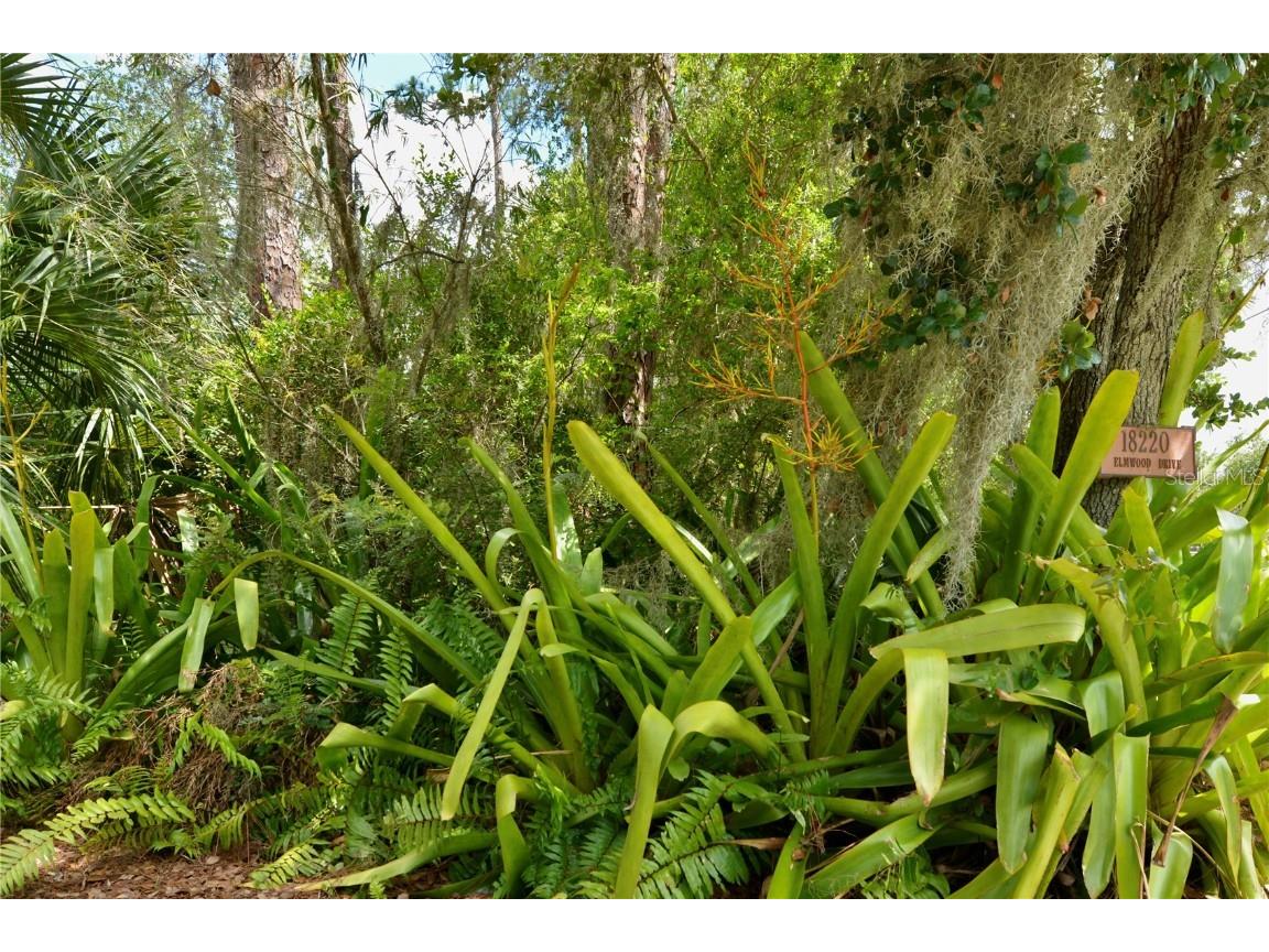 18220 Elmwood Drive Alva FL 33920 - TELEGRAPH CREEK C7511469 image100