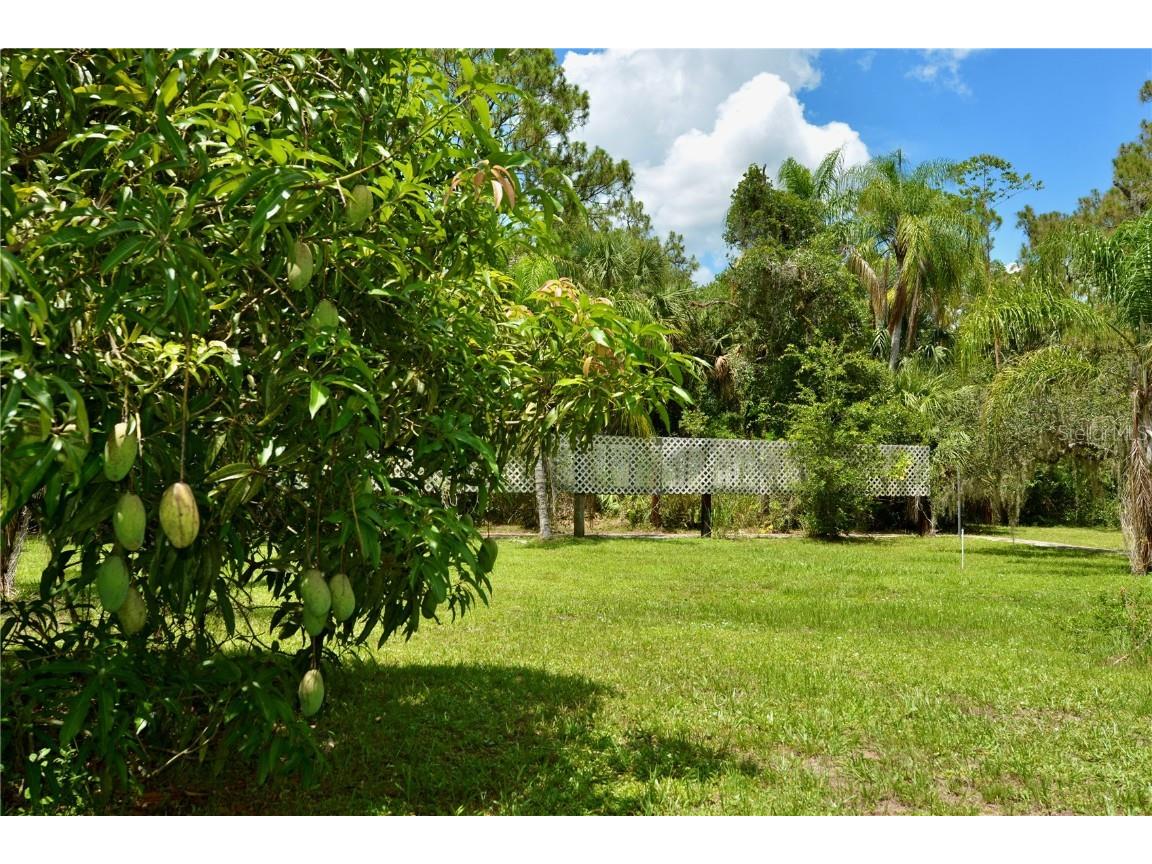 18220 Elmwood Drive Alva FL 33920 - TELEGRAPH CREEK C7511469 image74