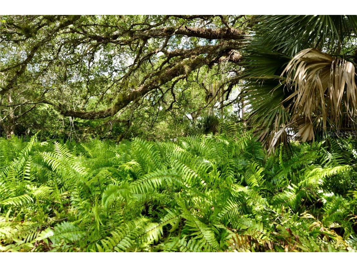 18220 Elmwood Drive Alva FL 33920 - TELEGRAPH CREEK C7511469 image97