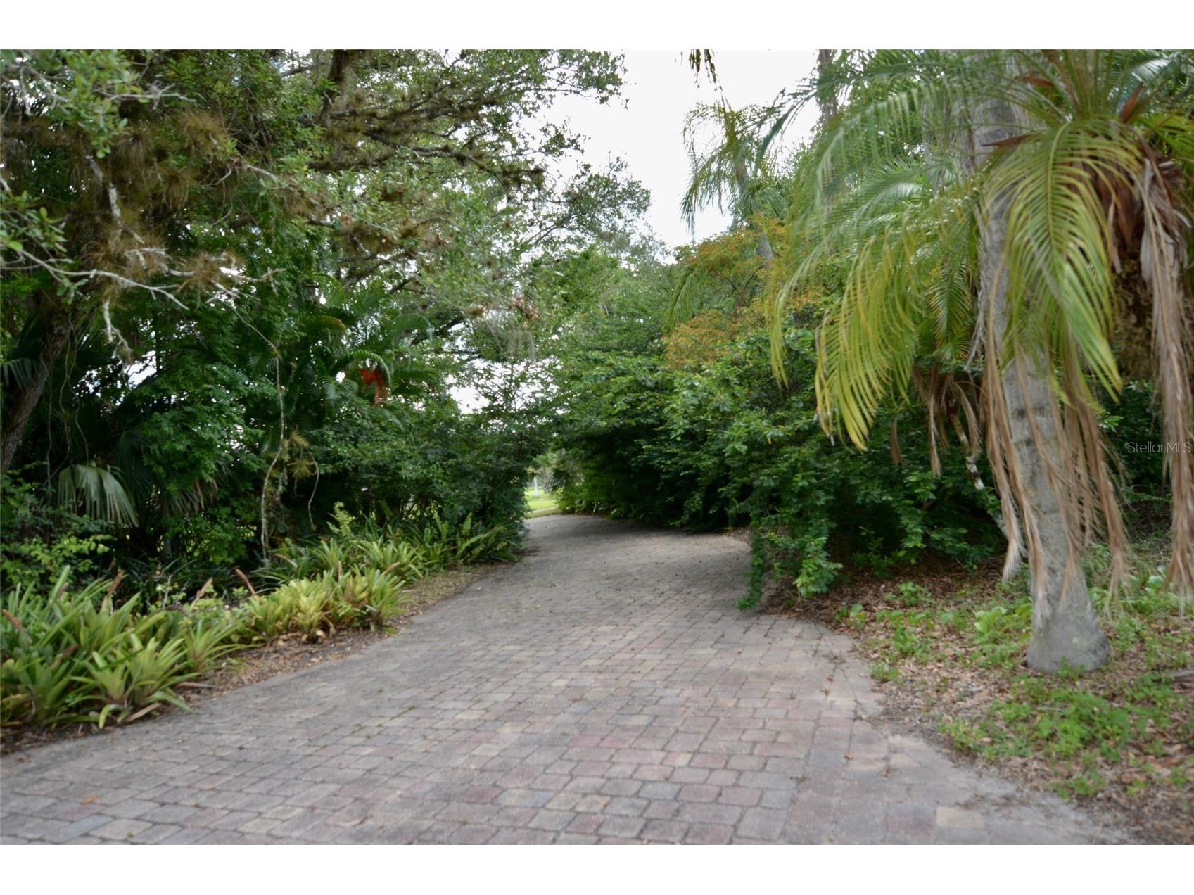 18220 Elmwood Drive Alva FL 33920 - TELEGRAPH CREEK C7525120 image53