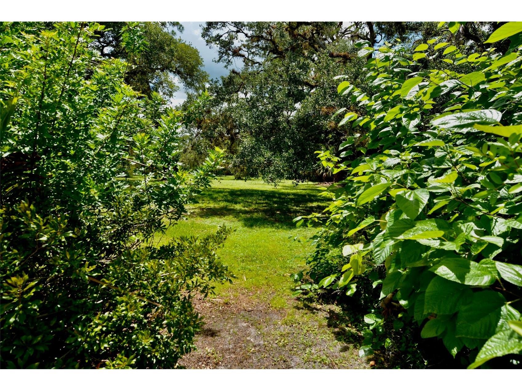 18220 Elmwood Drive Alva FL 33920 - TELEGRAPH CREEK C7525120 image72