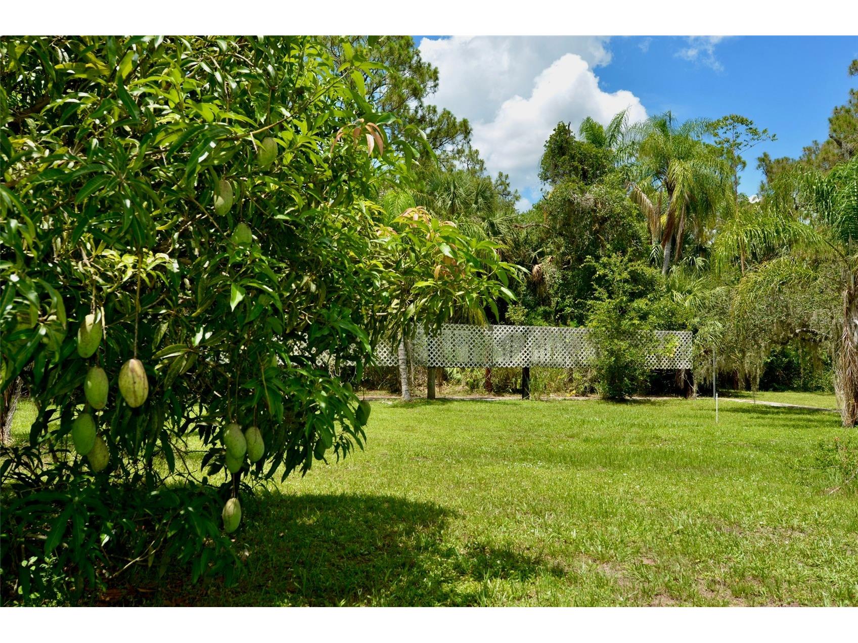 18220 Elmwood Drive Alva FL 33920 - TELEGRAPH CREEK C7525120 image77