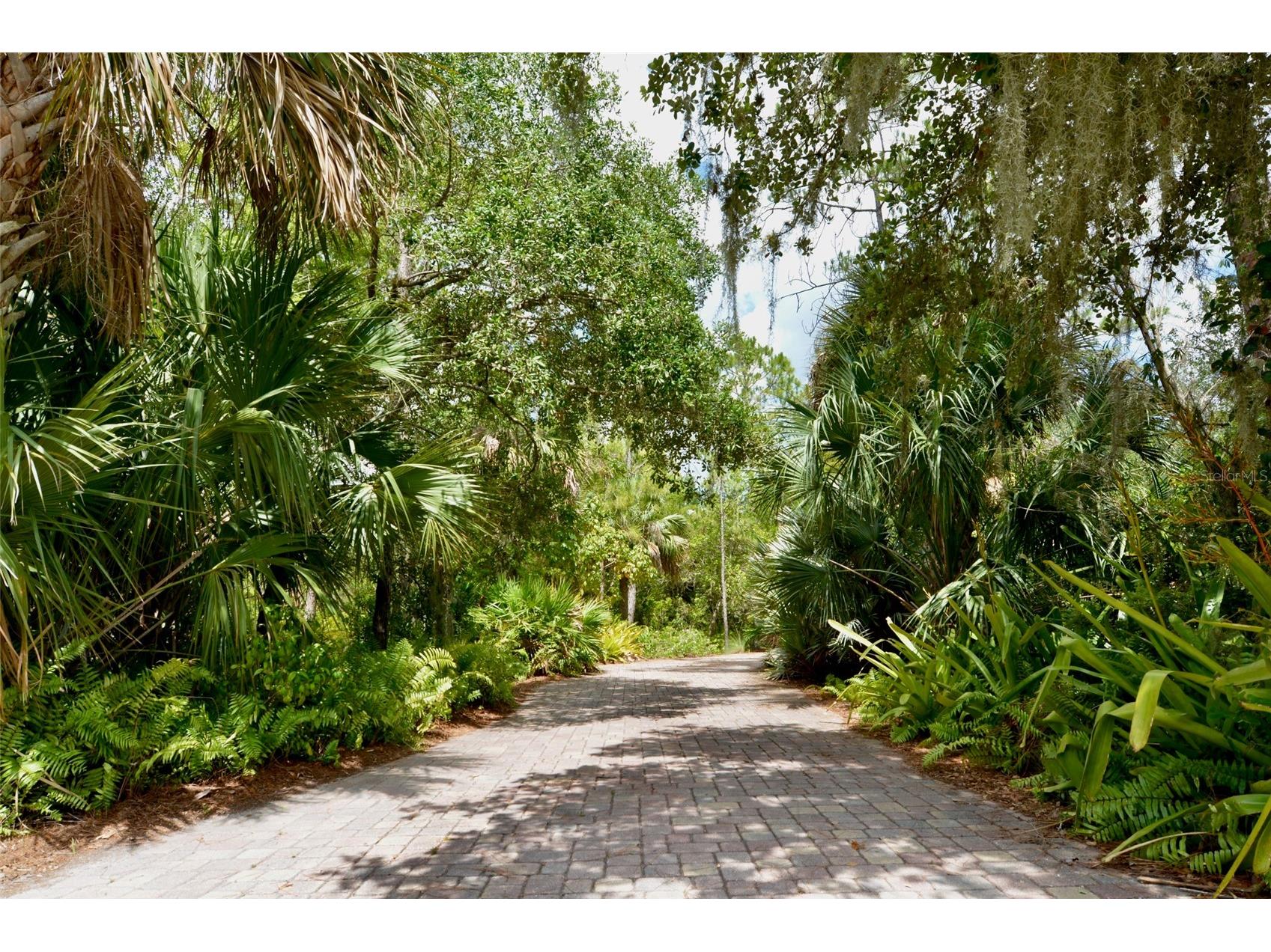 18220 Elmwood Drive Alva FL 33920 - TELEGRAPH CREEK C7525120 image80