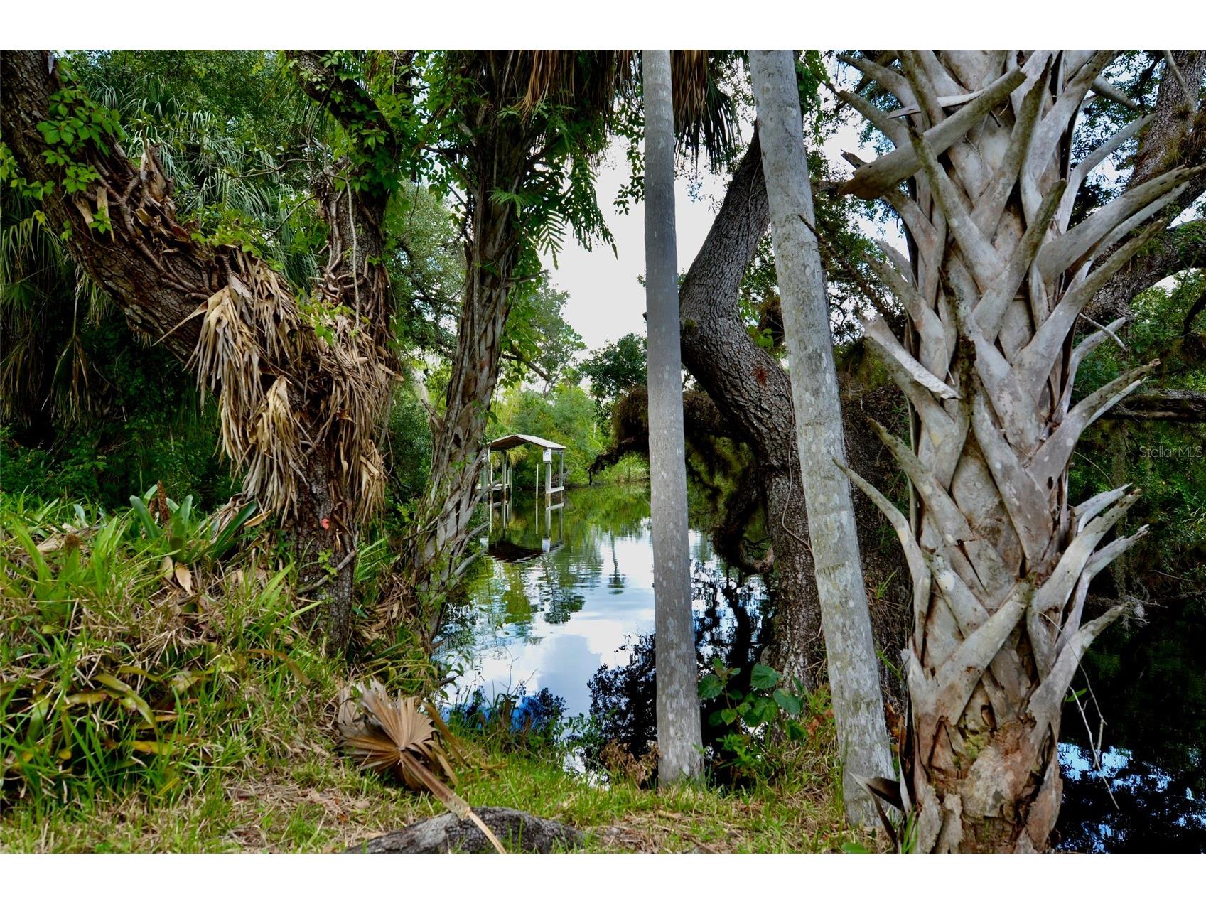 18220 Elmwood Drive Alva FL 33920 - TELEGRAPH CREEK C7525120 image83