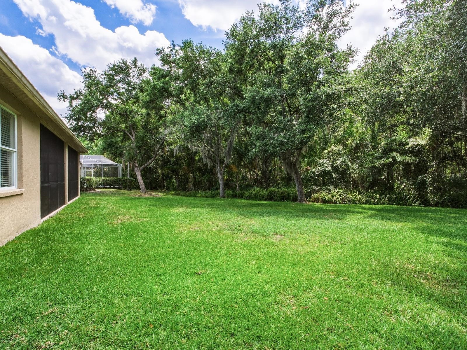 18220 Stillwell Lane Tampa FL 33647 TB8499725 image40