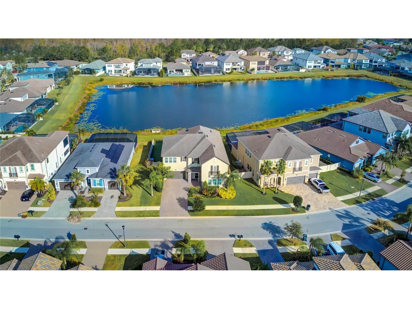 18223 Leafmore Street Lutz FL 33548 TB8307825 image1