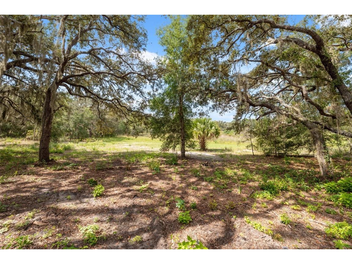 18223 Long Lake Drive Hudson FL 34667 TB8433989 image26